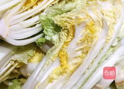 韩式辣白菜的做法图解1