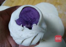 紫薯包的做法图解4