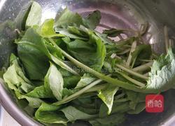 小白菜蚶子豆腐汤的做法图解3