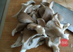 双菇番茄豆腐汤的做法图解5