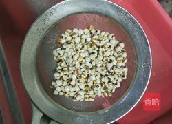 桂圆红枣薏米汤的做法图解4