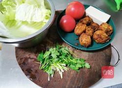 西红柿白菜豆腐汤的做法图解1