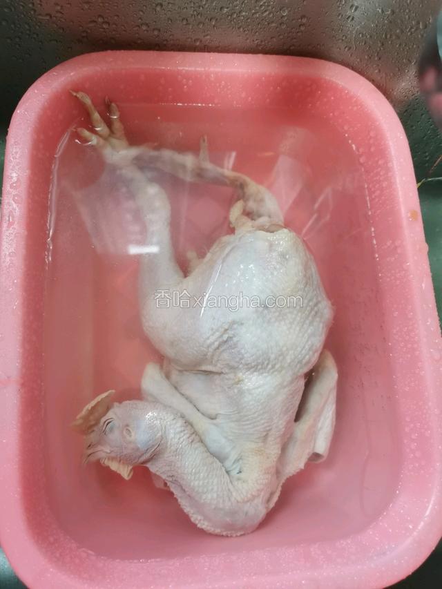 现杀的土鸡一只，清洗干净切成块