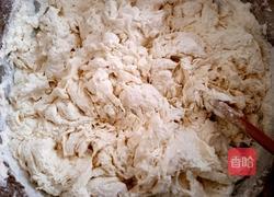 胡萝卜素馅包子的做法图解2