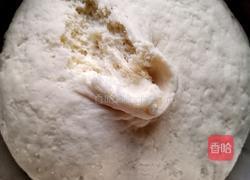 胡萝卜素馅包子的做法图解14