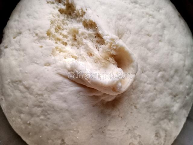 发酵好的面团明显膨胀了许多，内部组织呈蜂窝状。