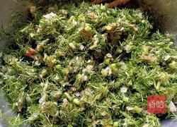 茴香肉包的做法图解8