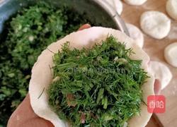 茴香肉包的做法图解12