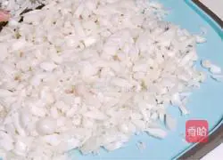 Illustration of vegetable porridge 3