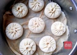 茴香肉包的做法图解16