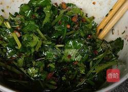 凉拌香菜的做法图解3