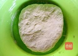 香菜肉饼的做法图解1