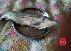 清炖草鱼的做法图解1