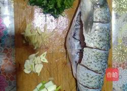 清炖草鱼的做法图解2