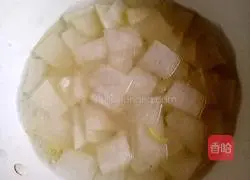Winter Melon and Shrimp Skin Soup Recipe Illustration 7