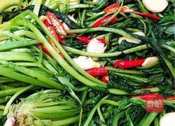 腌雪里蕻的做法图解5