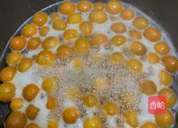 金桔膏的做法图解2