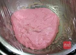 火龙果面包(不用揉出手膜)的做法图解12