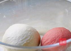 梅花蒸饺的做法图解3