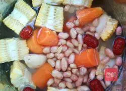 Vegetarian Soup Illustration 5