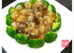 鲍汁海参的做法图解11