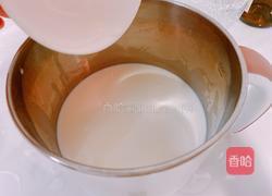 木瓜炖牛奶的做法图解4