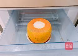 木瓜牛奶冻的做法图解4