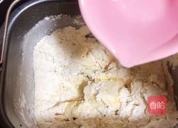 葱香手撕饼(猪油酵母版)的做法图解2