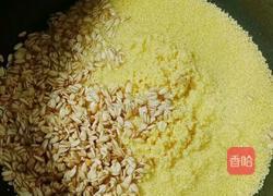 山药小米粥的做法图解4
