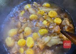 板栗焖鸡的做法图解4