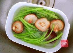 茼蒿梗蘑菇猪肉馅饺子的做法图解6