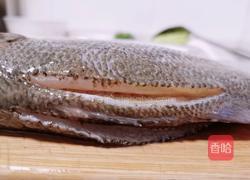 清蒸鲈鱼的做法图解2