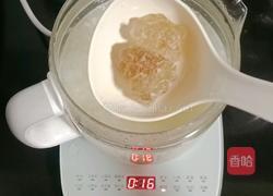 银耳酒酿汤圆的做法图解11
