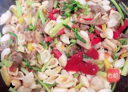 孜然羊肉猫耳朵的做法图解16