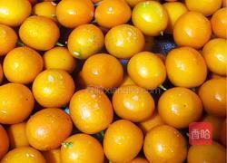 金桔冰糖蜜的做法图解1