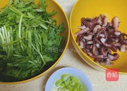 章鱼炒茼蒿的做法图解4
