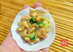 酸汤水饺的做法图解3