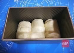 醇熟牛奶吐司的做法图解22