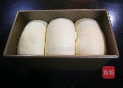 醇熟牛奶吐司的做法图解23