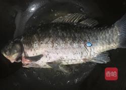口蘑鲫鱼汤的做法图解4