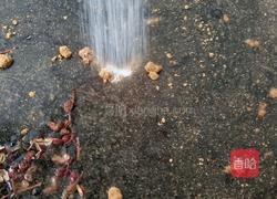 茶叶蛋的做法图解9