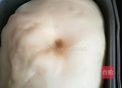 蜜豆海苔肉松面包的做法图解3
