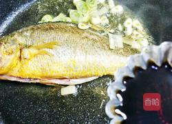 年味美食黄花鱼的做法图解4