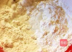 酒酿圆子的做法图解1