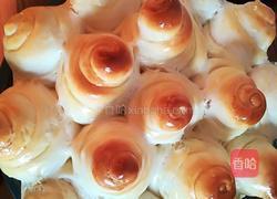 椰蓉蜂蜜面包的做法图解10