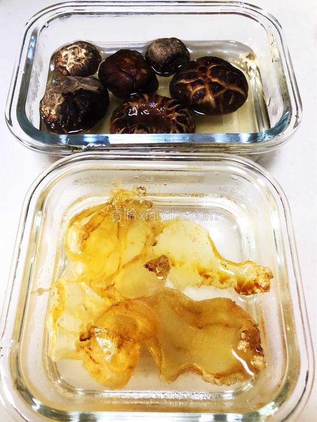 炸好的鱼胶用开水泡软，花菇开水泡软备用
