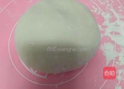 自制小馄炖的做法图解3