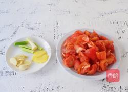 西红柿炖牛肋排的做法图解3