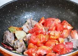 西红柿炖牛肋排的做法图解6
