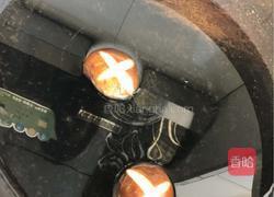 茴香打卤面的做法图解7